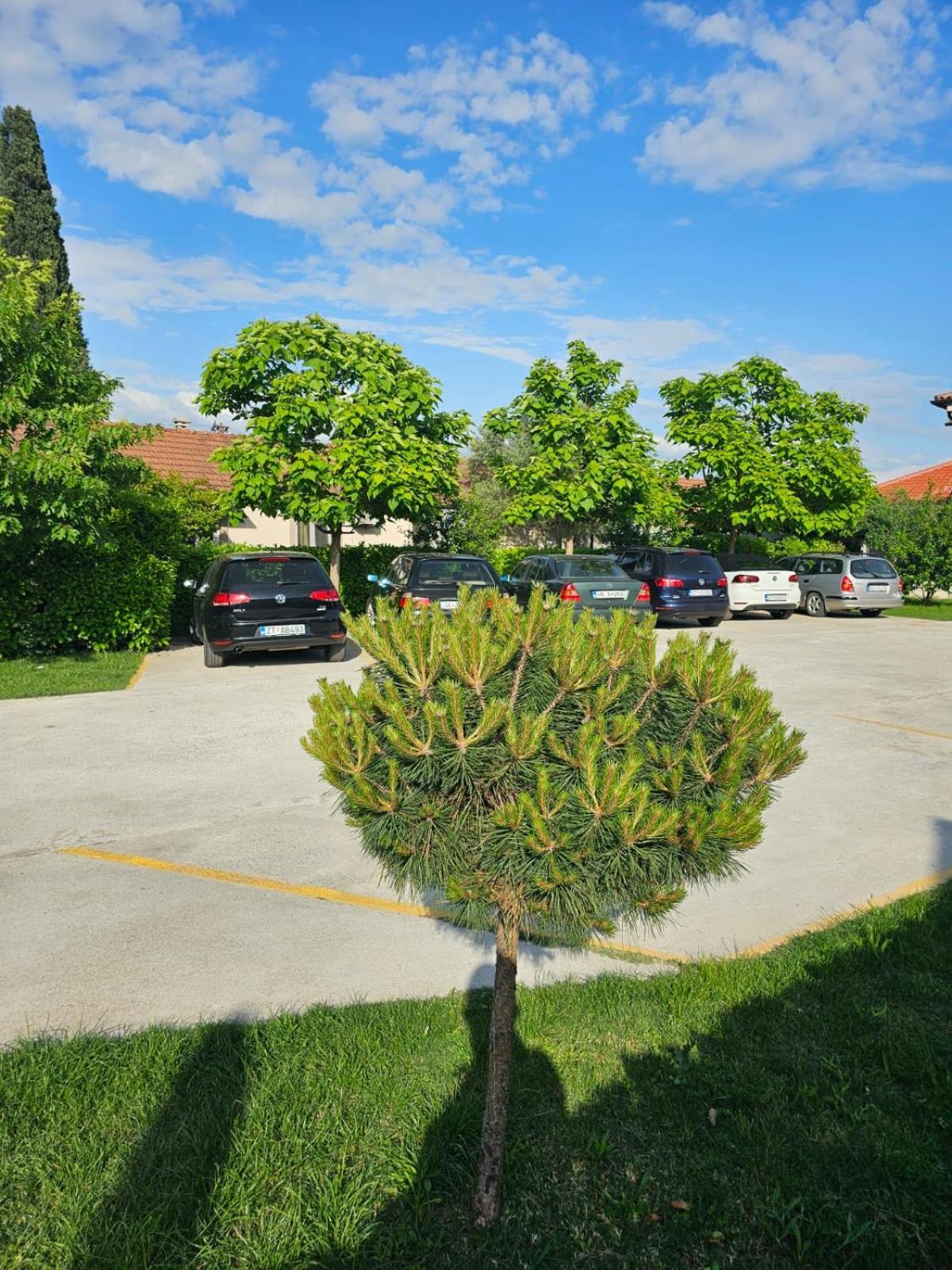 Apartments Aerodrom Подгориця Екстер'єр фото